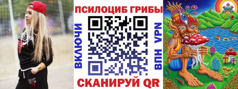 Галлюциногенные грибы Psilocybine cubensis Нальчик